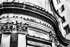 linee caruggi top small